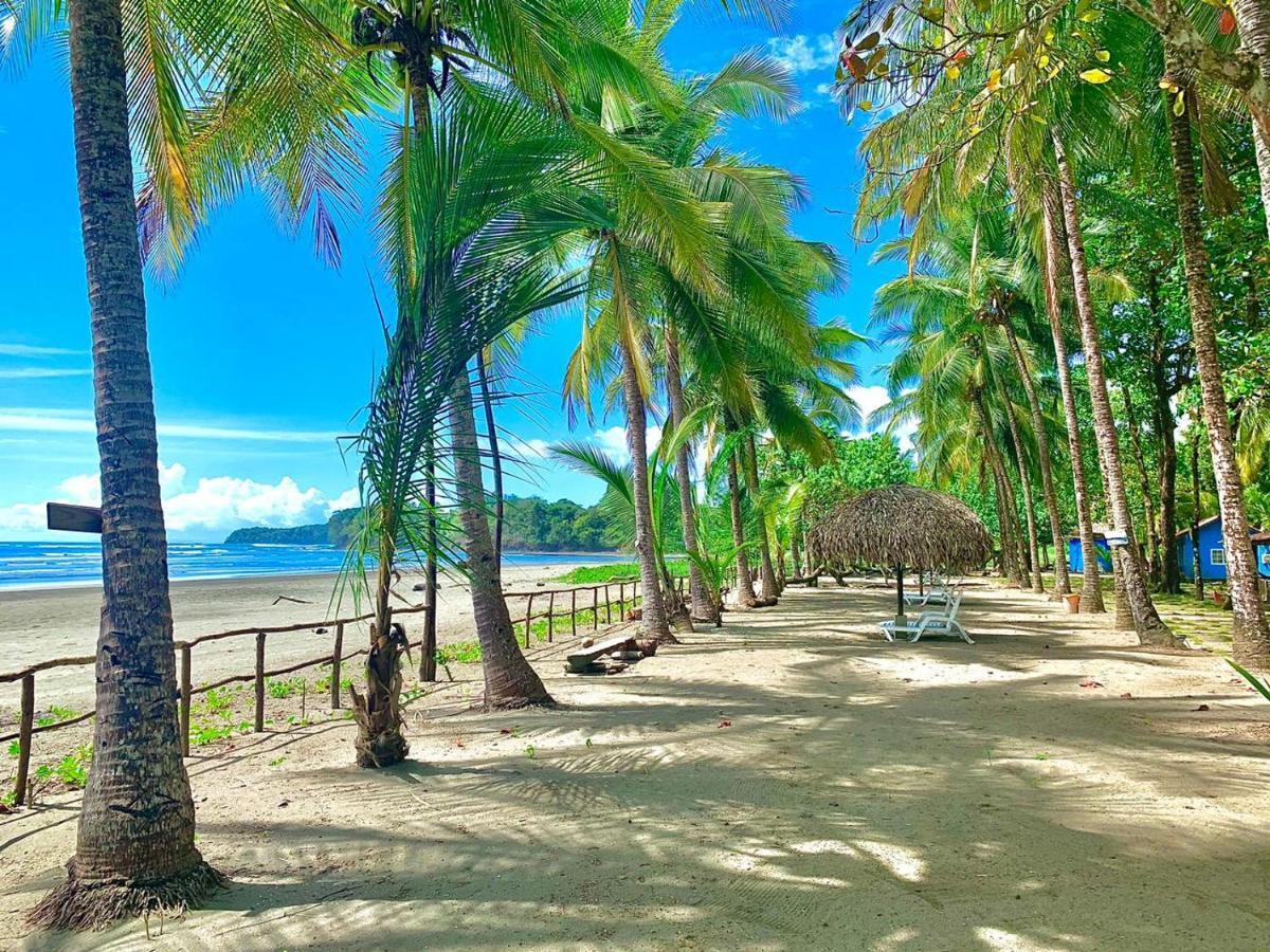 Hotel Oasis & Surf Camp Санта-Каталина Экстерьер фото