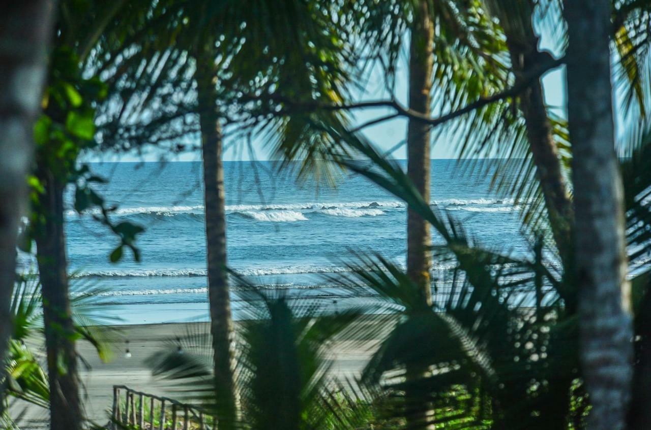 Hotel Oasis & Surf Camp Санта-Каталина Экстерьер фото